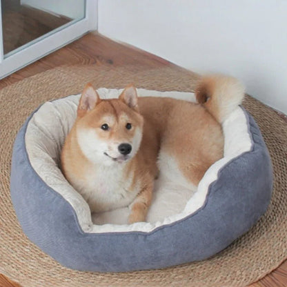 chien dans panier chien confort douillet gris