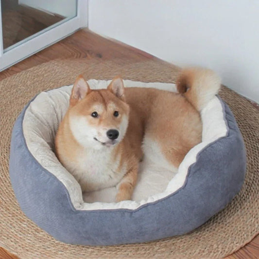 chien dans panier chien confort douillet gris