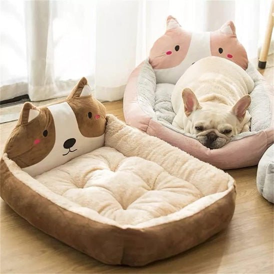 chien dans panier chien confortable