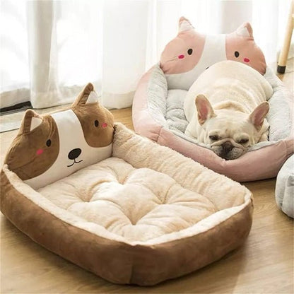 chien dans panier chien confortable