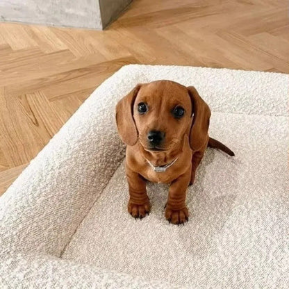 chien dans panier chien de luxe en  memoire de forme  