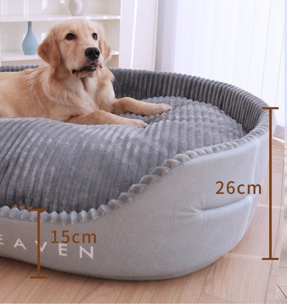 chien dans panier chien forme ovale