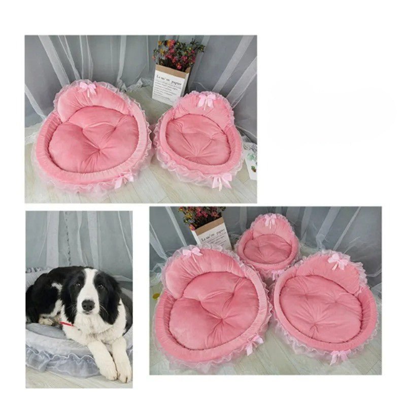 chien dans panier chien princesse