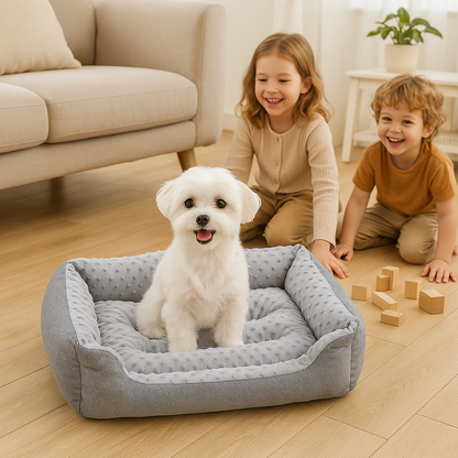  dans panier pour chien entourer par enfants