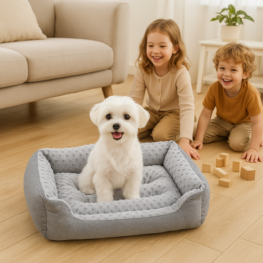  dans panier pour chien entourer par enfants
