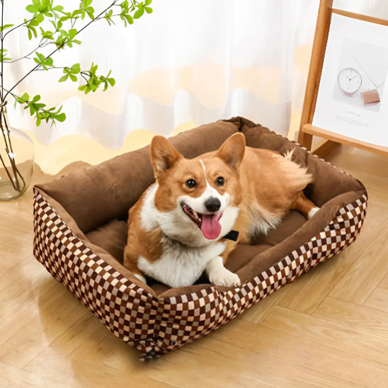 chien dans panier pour chien marron blanc