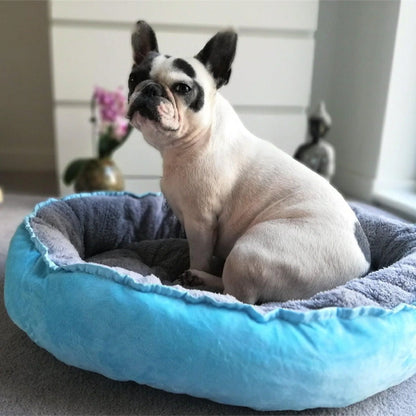 chien dans panier pour chien relaxant dans salon