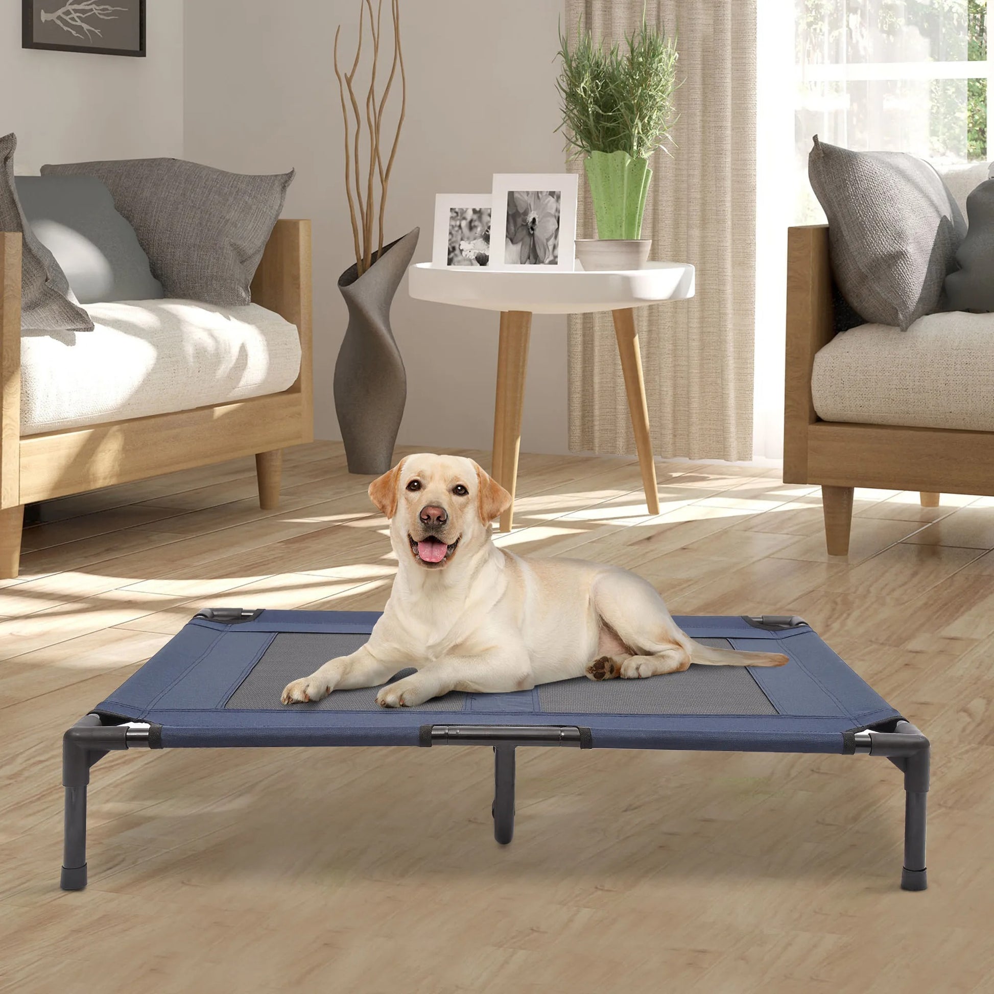 chien dans salon assis dans lit de camp pour chien