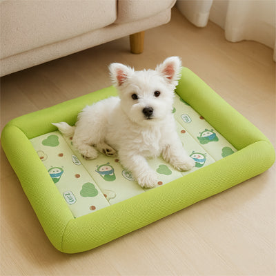 chien dans tapis pour chien bort vert 