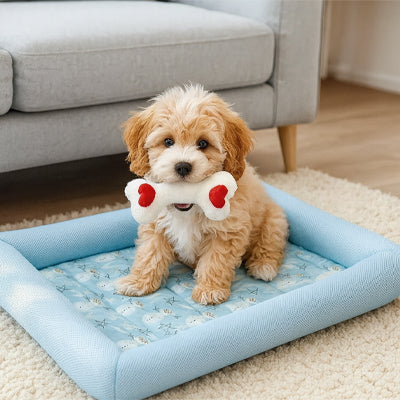 chien dans tapis pour chien rafraichissant bleu a motif