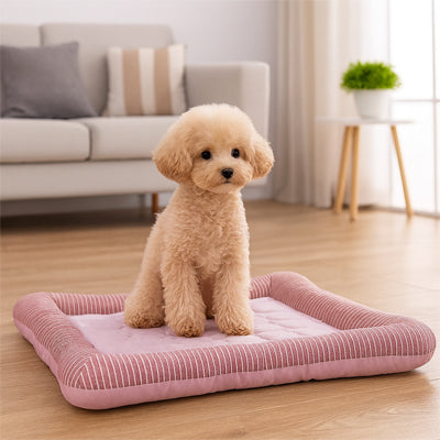 chien debout dans tapis rafraichissant chien rose