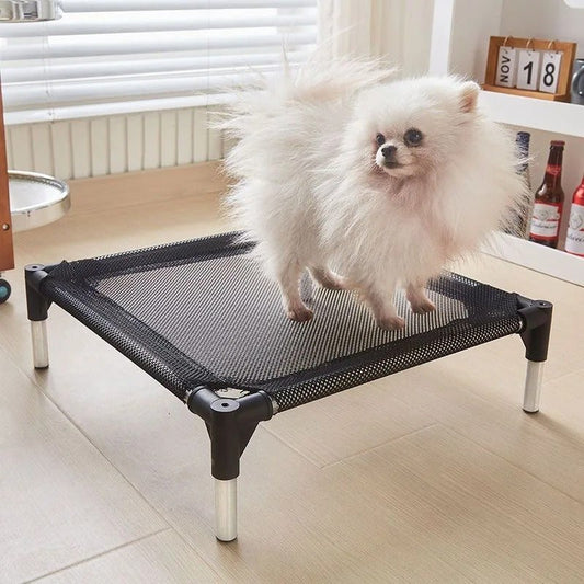 chien debout sur lit de camp pour chien