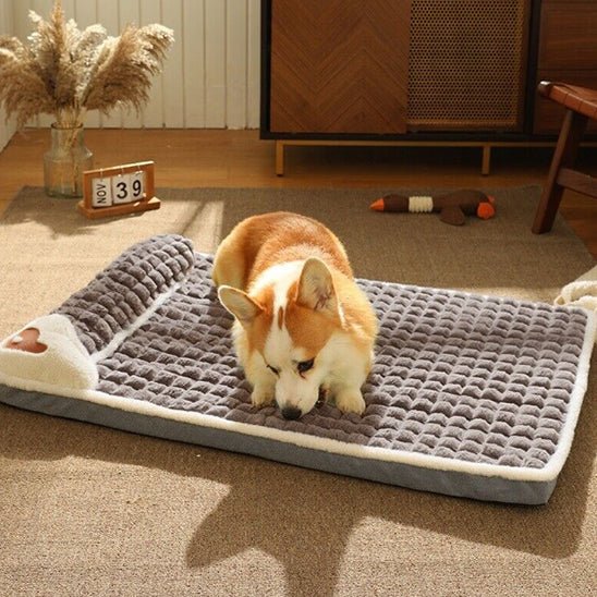 chien decontracter dans son lit pour chien rectangulaire