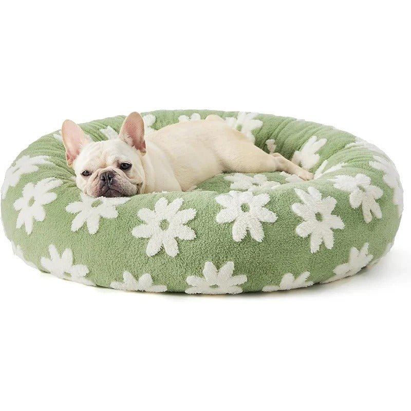 chien_detendu_dans_coussin_chien_vert_a_fleur