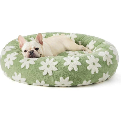 chien_detendu_dans_coussin_chien_vert_a_fleur