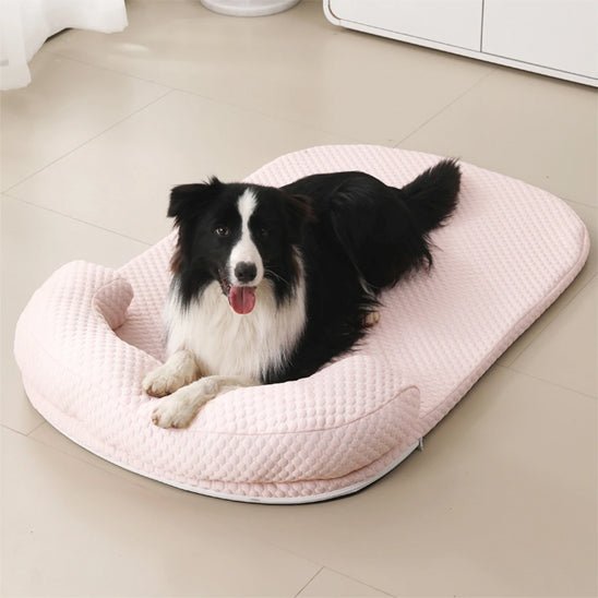 chien detendu sur tapis rafraichissant chien couleur rose