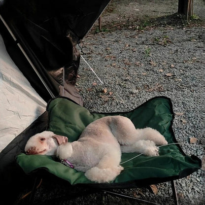 chien dort lit de camp chien vert