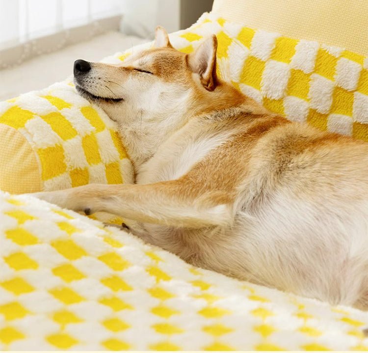 chien dort canape pour chien crocodile jaune