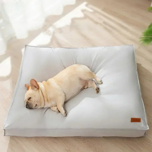 chien dort confortablement dans coussin pour chien imperméable