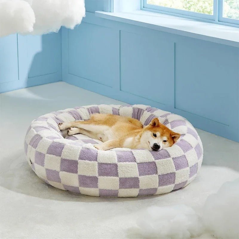 chien_dort_dans_coussin_chien carreaux_blanc violet