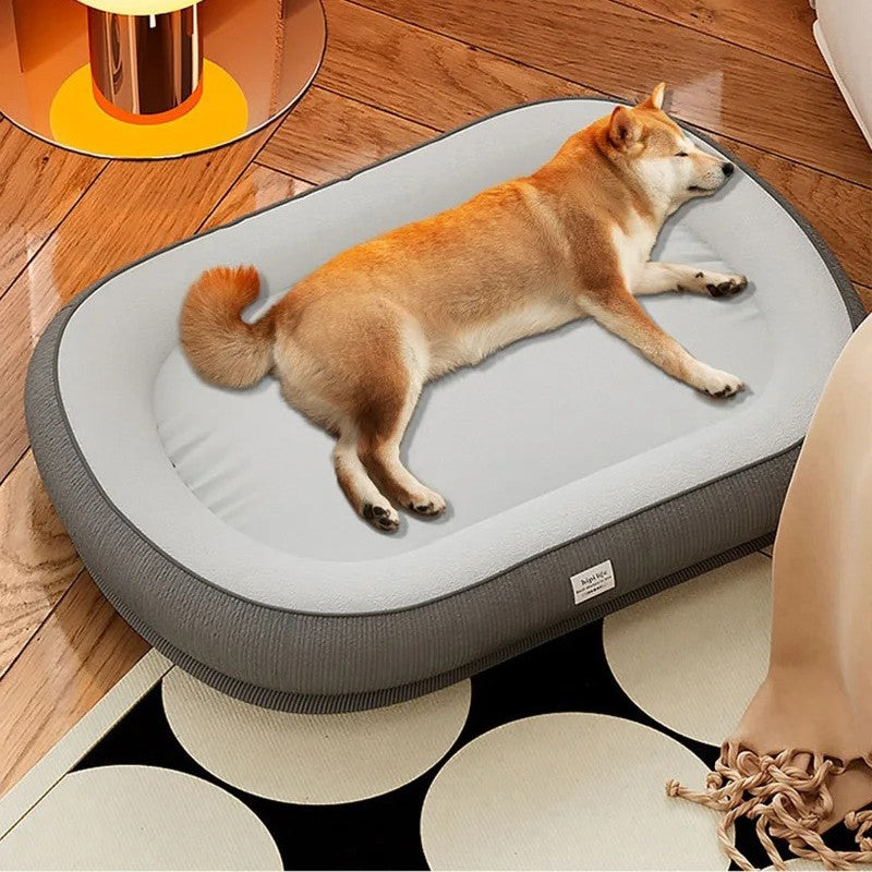 chien_dort_dans_coussin_pour_chien_impermeable_sparquet salon