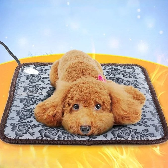 chien dort dans lit pour chien chauffant électrique 