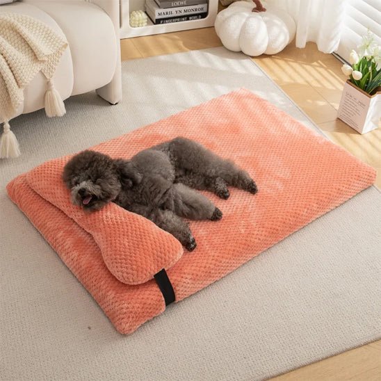 chien dort dans lit pour chien confort et apaisant en peluche