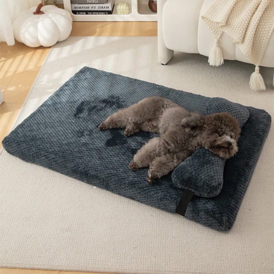 chien dort dans lit pour chien confort et apaisant paisiblement