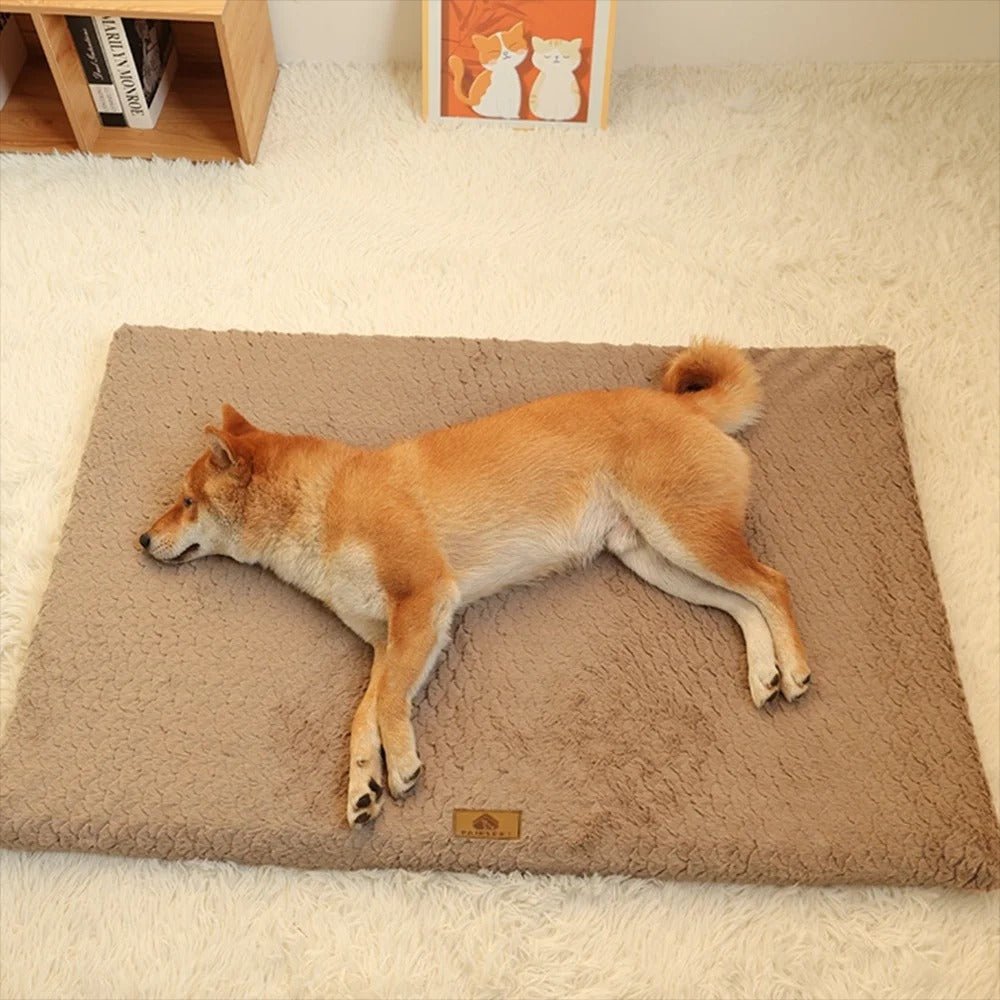 chien dort dans lit pour chien en mousse 3D marron