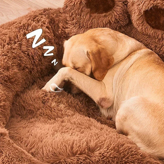 chien dort dans lit pour chien forme de la patte