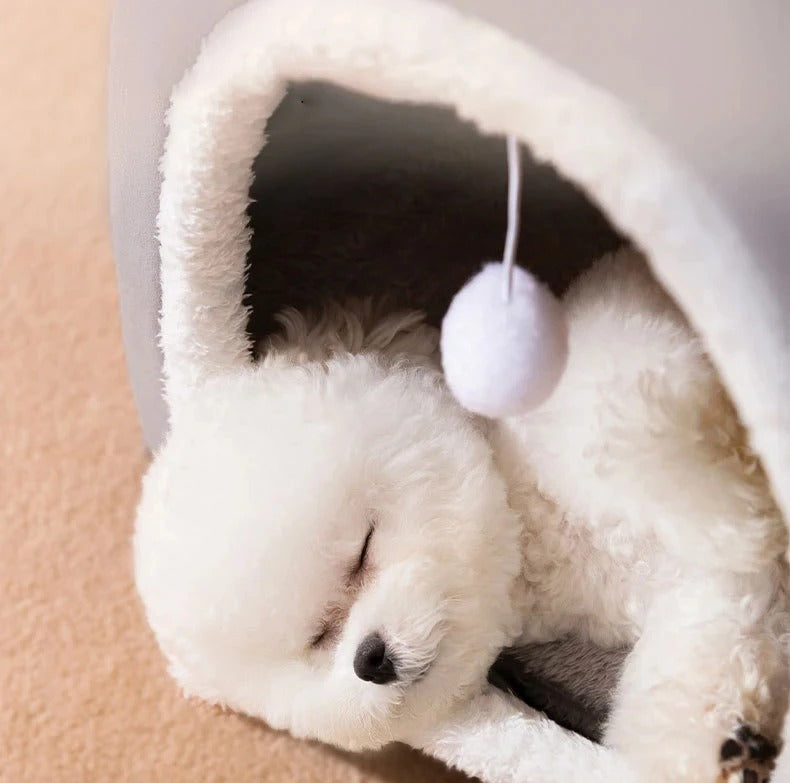 chien dort dans niche  pour chien