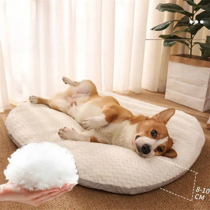 chien dort dans panier chien ergonomique salon