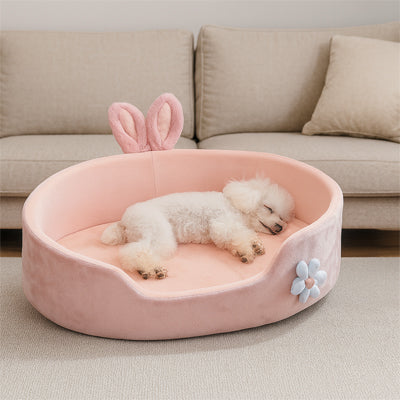 chien dort dans panier pour chien oreille lapin salon
