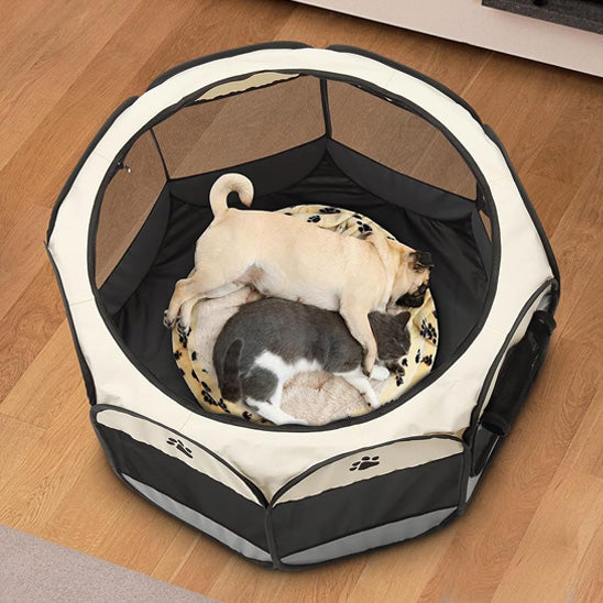 chien dort dans parc pour chien transparent