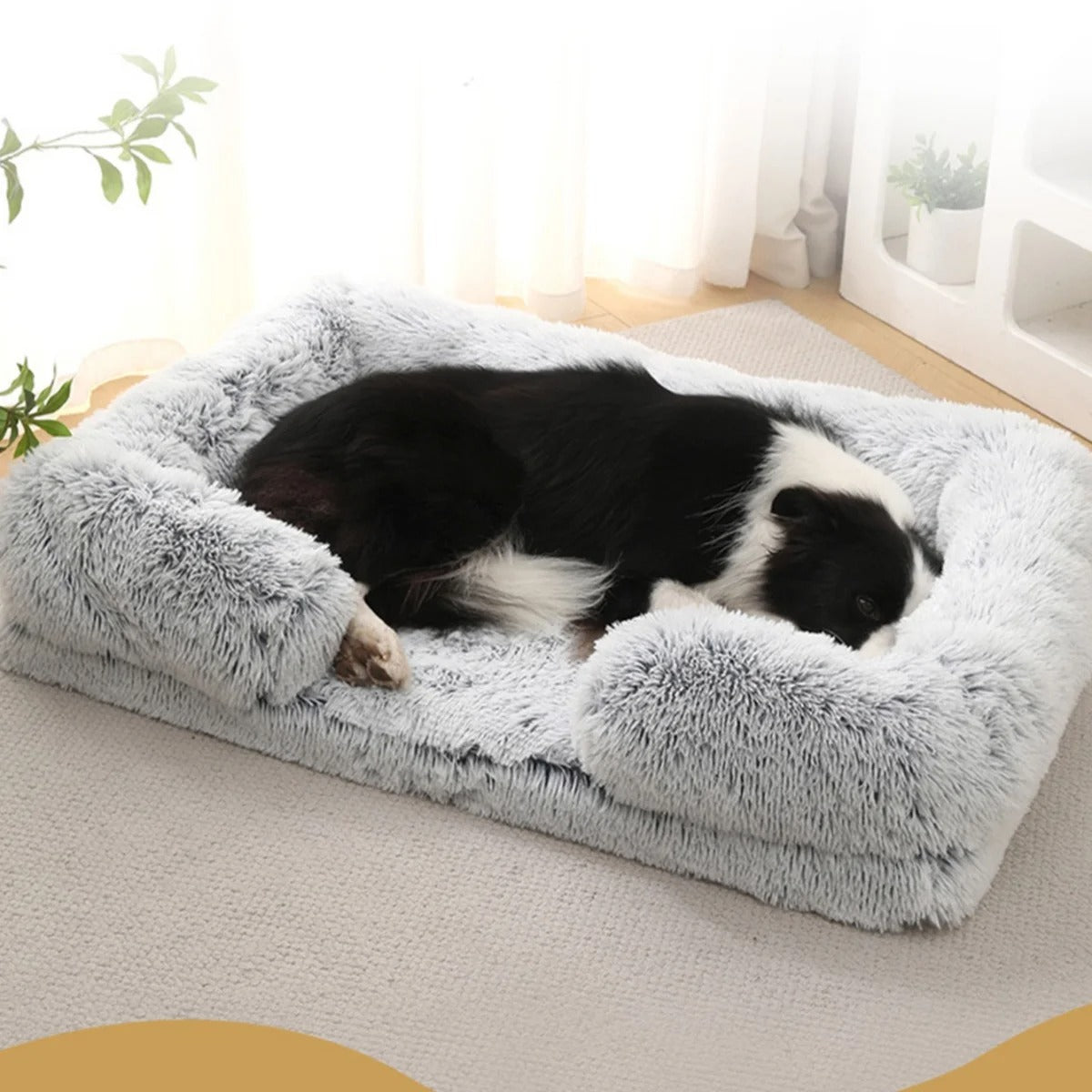 chien dort dans son canape pour chien carre peluche