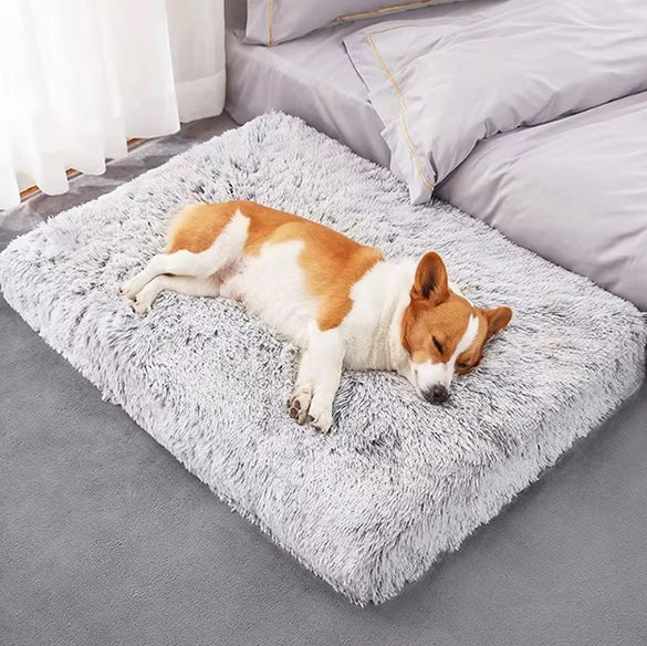 chien dort dans tapis pour chien orthopédique