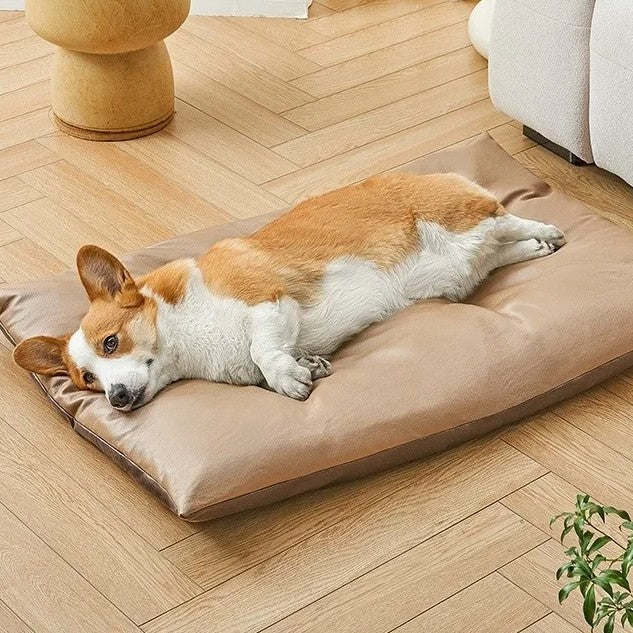 chien dort dans tapis rafraichissant chien  epais doux