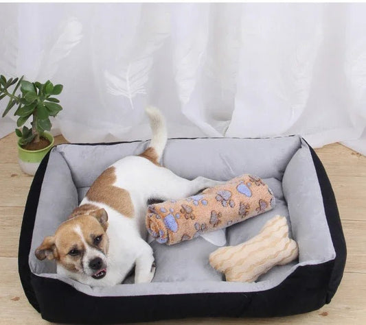 chien dort  panier chien designe scandinave