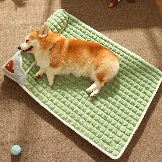chien dort profondement dans lit pour chien rectangulaire 