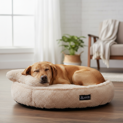 chien_en_dormi_dans_coussin_pour chien_rose