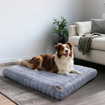 chien enchante dans lit pour chien confort moelleux