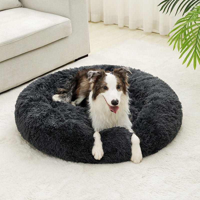 chien equilibre dans son lit pour chien rond