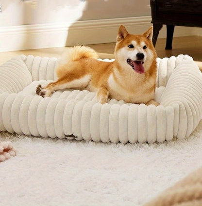 chien_heureux_dans_coussin_pour_chien_chaud_blanc