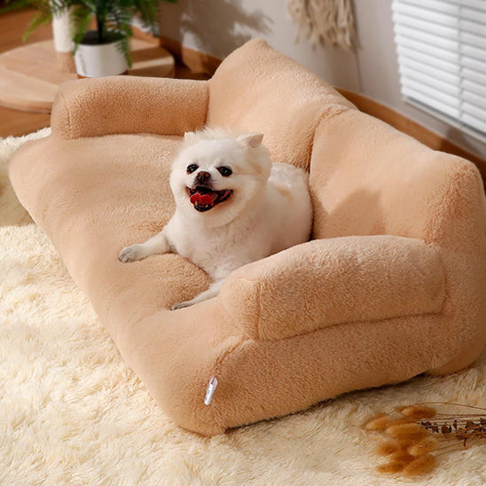 chien heureux dans panier pour chien canape marron