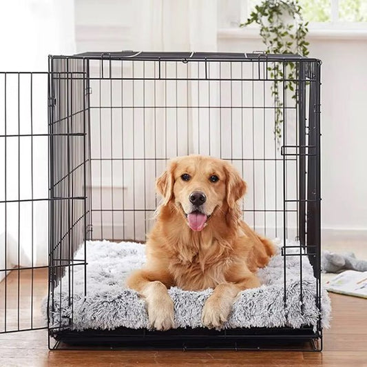 chien heureux dans tapis pour chien