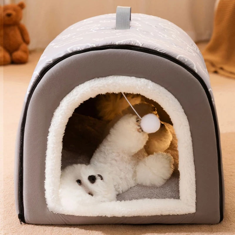 chien joue avec pompon de niche pour chien