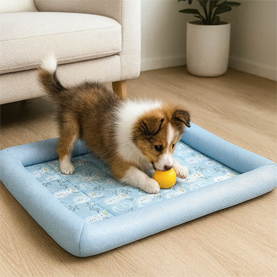 chien joue dans tapis pour chien rafraichissant