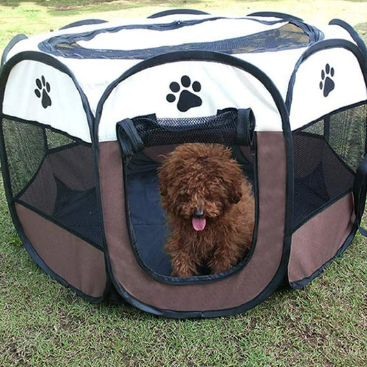 chien marron dans parc pour chien transparent