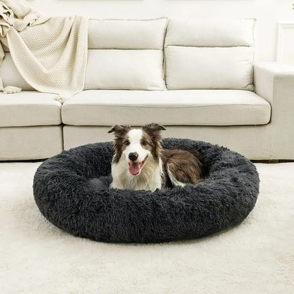chien marron installer dans lit pour chien gris