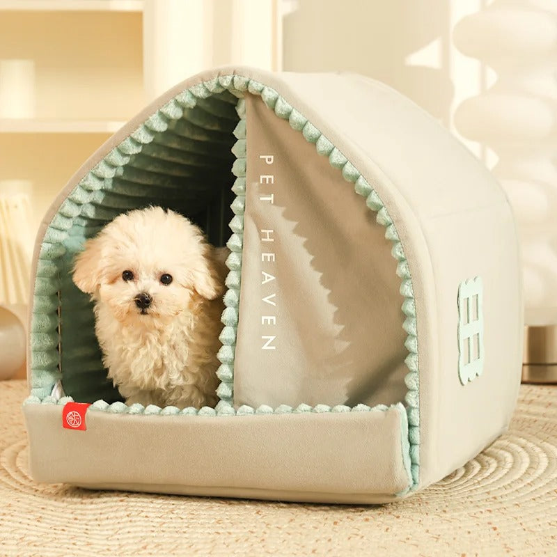 chien regarde dans niche pour chien triangulaire